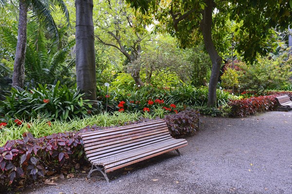 Park bench in the Jardin de aclimatacion de la Orotava