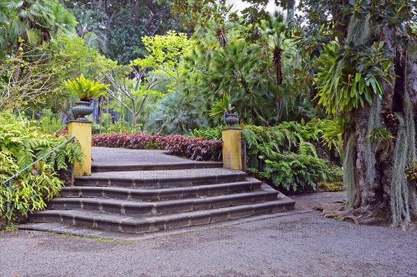 Jardin de aclimatacion de la Orotava