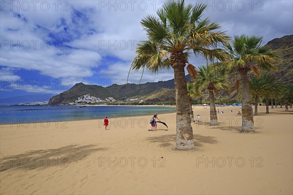 Palms on the beach