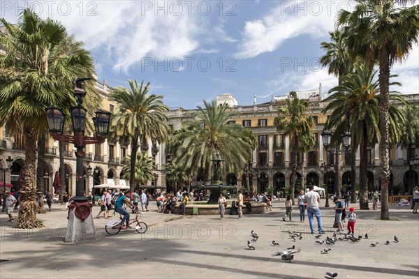 Placa Reial