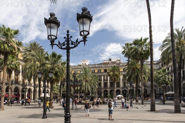 Placa Reial