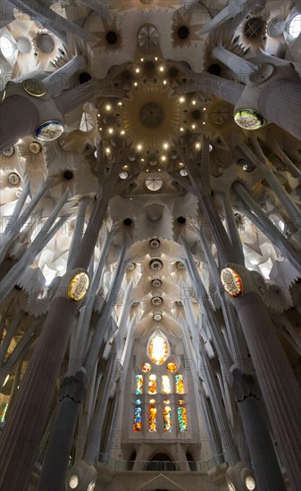 Vaulted ceiling