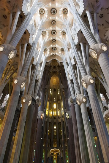 Vaulted ceiling