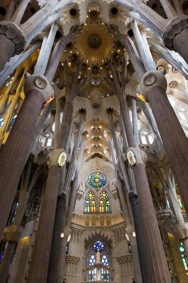 Vaulted ceiling