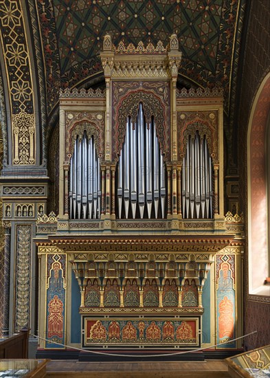 Organ