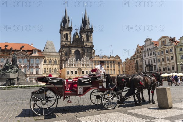 Horse-drawn carriage in front of the Tyn Church