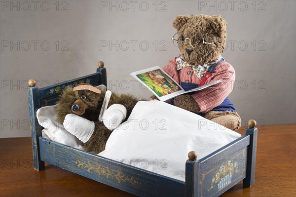 Sick Teddy Bear with bandaged paws and head