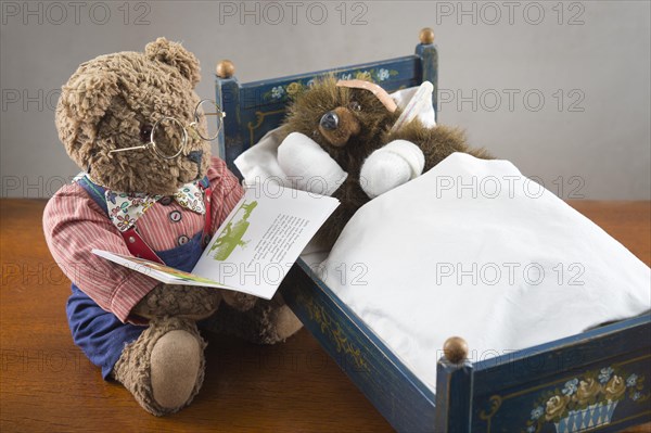 Sick Teddy Bear with bandaged paws and head