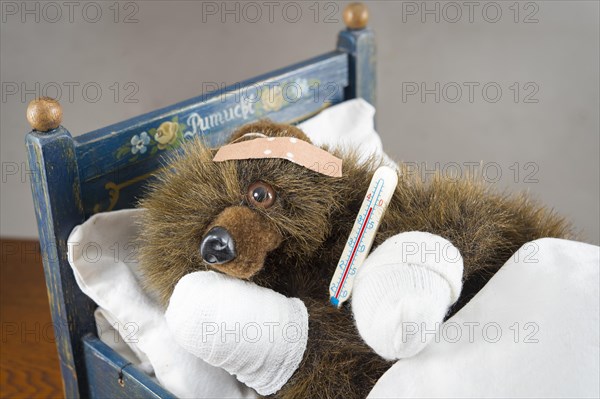Sick Teddy bandaged paws and head
