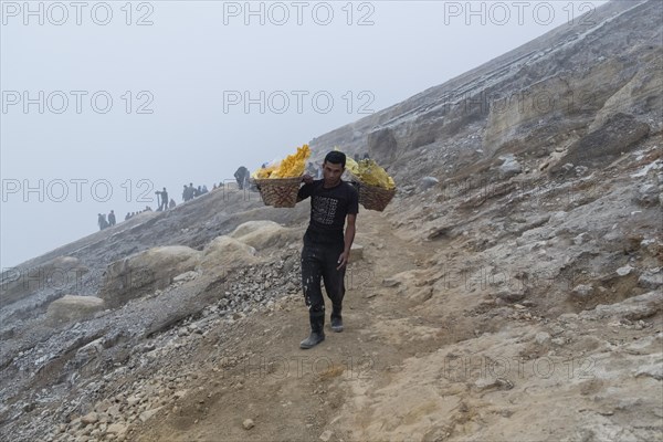 Sulphur carrier climbs out of volcano Kawah Ijen