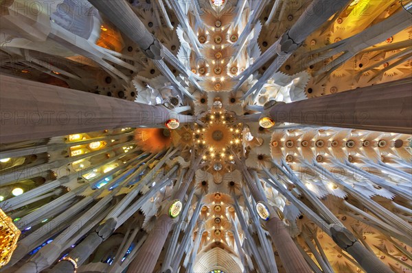 Interior view ceiling vault