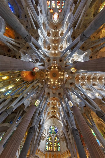 Interior view ceiling vault