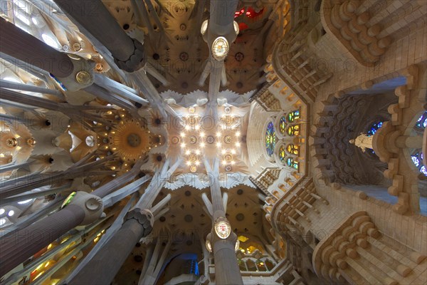 Interior view ceiling vault