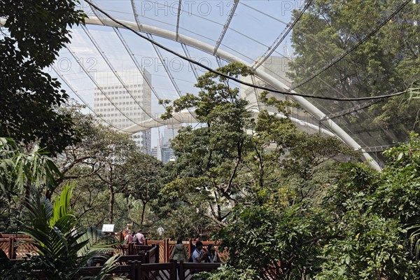 Walk-in Aviary Hong Kong Park