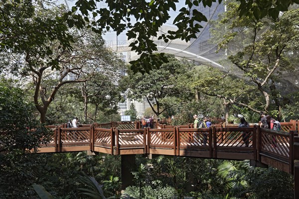 Walk-in Aviary Hong Kong Park