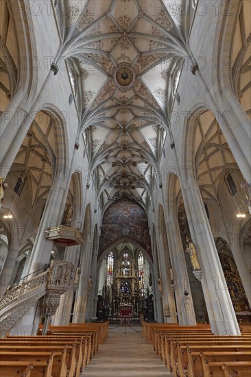 Gothic nave with lozenge stellar vault