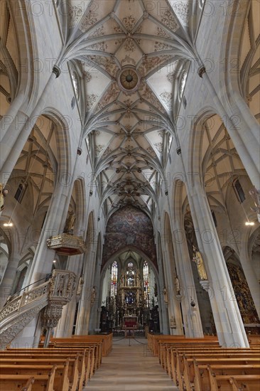 Gothic nave with lozenge stellar vault