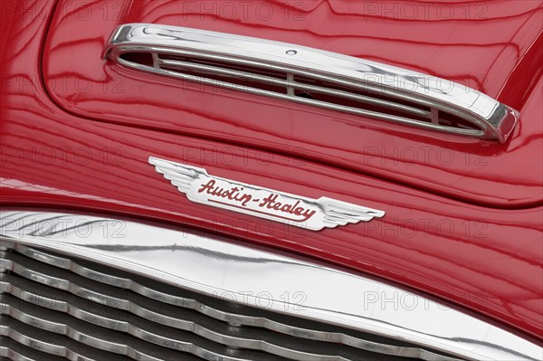 Austin Healey emblem on a Roadster