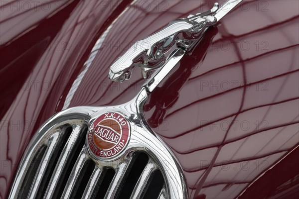 Emblem and mascot figurine on Jaguar XK140