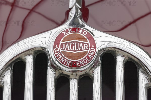Emblem on Jaguar XK140 radiator grill