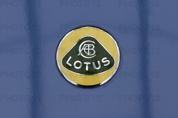 Lotus emblem on a Lotus Elan Lotus Car
