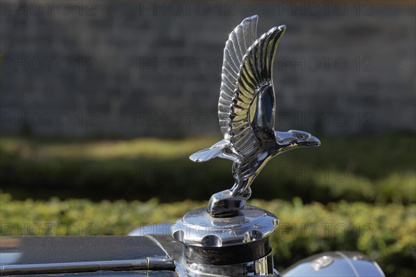 Silver Eagle hood ornament