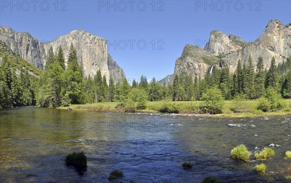 Yosemite Valley and El Capitan