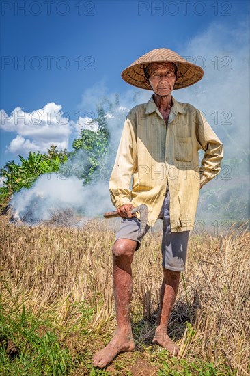 Indonesian rice farmer