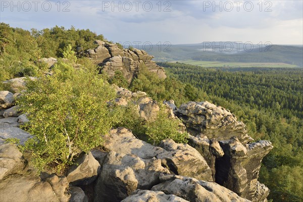 View from Kleiner Winterberg