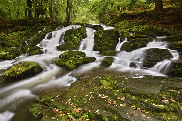 Selke Waterfall in the Harz Mountains