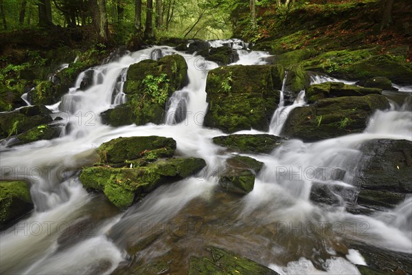 Selke Waterfall in the Harz Mountains