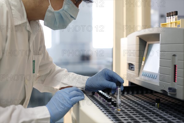 Nurse in laboratory testing for tuberculosis