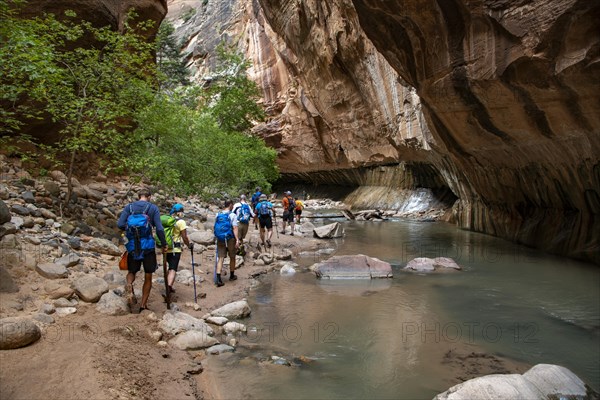 Hikers