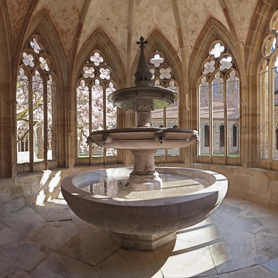 Fountain in Maulbronn Monastery