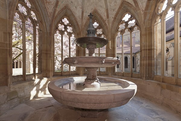 Fountain in Maulbronn Monastery