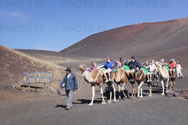 Tourists riding on dromedaries in Timanfaya National Park