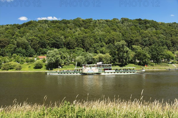 Historic paddle steamer on the Elbe