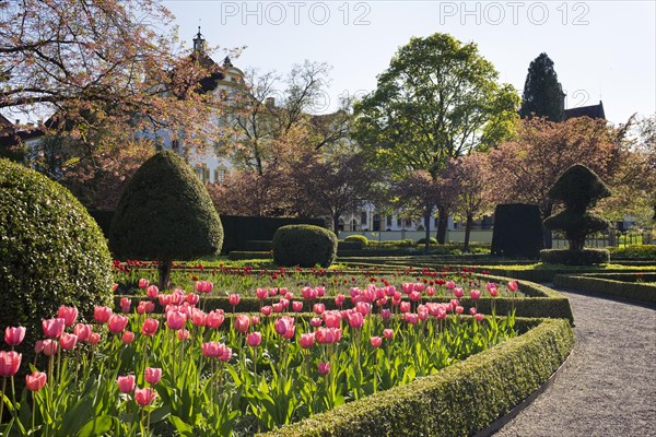 courtyard garden