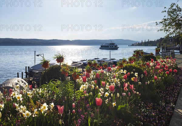 Flower beds with spring flowers at lakeside at jetty