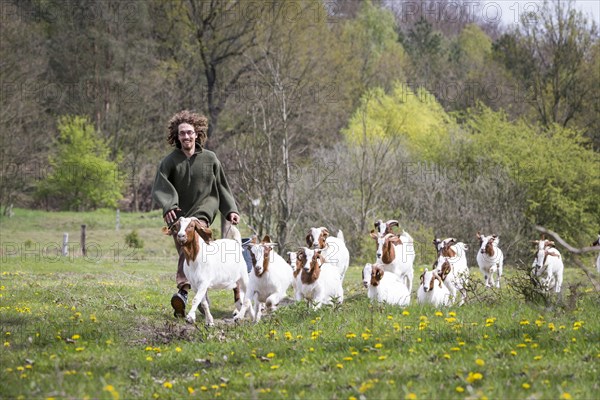 Young man running with herd of goats