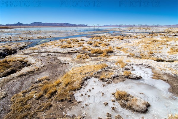 shore of Laguna Hedionda