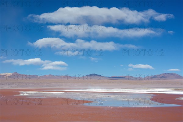 Laguna Colorada with red water due to high content of algae in Uyuni