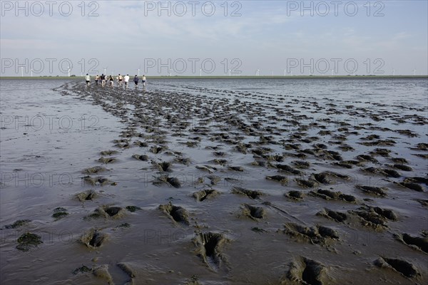 Footprints of people walking in the mudflats