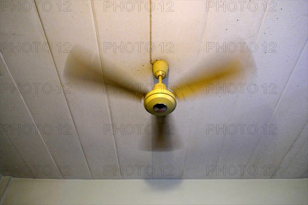 Ceiling fan