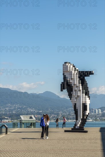 Sculpture Digital Orca