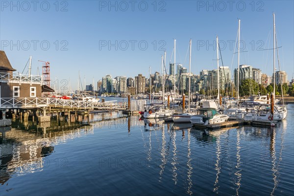 Marina with sailboats