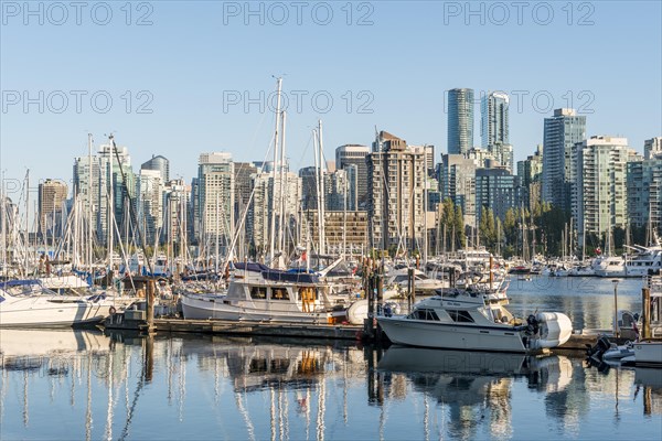 Marina with sailboats