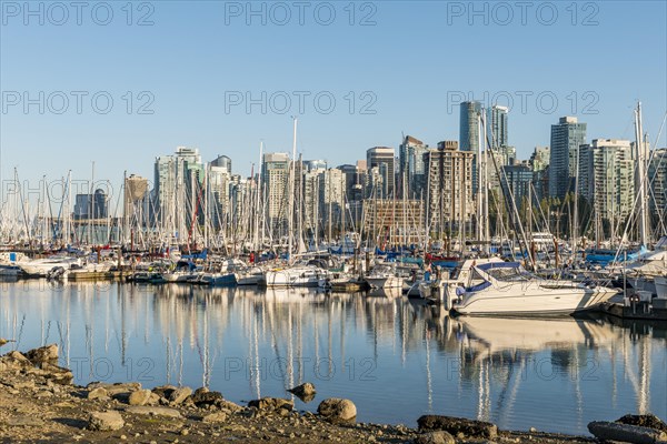 Marina with sailboats