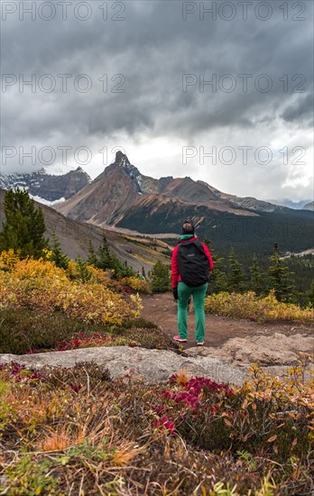 View to Mount Athabasca and Hilda Peak in autumn