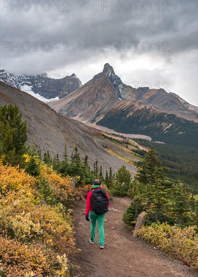 View to Mount Athabasca and Hilda Peak in autumn